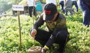 Aksi penanaman pohon. foto: Kominfo kota gorontalo