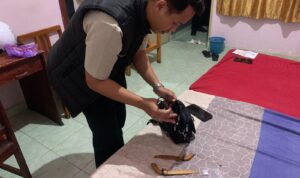 Barang bukti sajam yang di amankan polisi. Foto: Dok. Istimewa