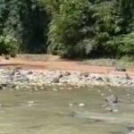 terlihat dua sungai berdampingan, satu keruh, dan satunya jernih. foto: tangkapan layar video