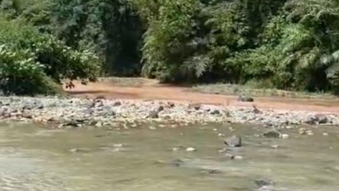 terlihat dua sungai berdampingan, satu keruh, dan satunya jernih. foto: tangkapan layar video