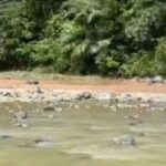 Tangkapan layar video sungai yang tercemar