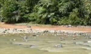 Tangkapan layar video sungai yang tercemar