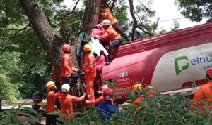 Tim SAR saat melakukan evakuasi terhadap korban kecelakan. Foto: Dok. Istimewa