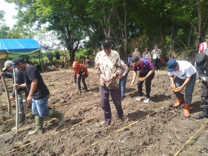 Masyarakat melakukan penanaman jagung bersama BTL dan IGL. Foto: Simpulindo