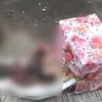 tangkapan layar video di instagram tempo