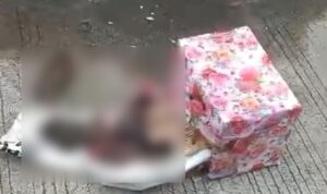 tangkapan layar video di instagram tempo