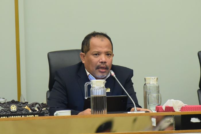 Anggota Komisi IV DPR RI, Johan Rosihan. Foto: Parlementari
