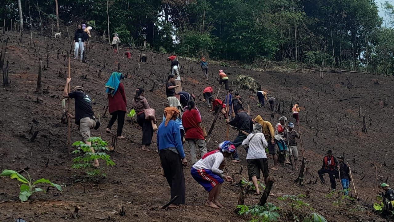 Masyarakat adat meratus. Foto: Donny/ FWI