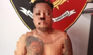 Pelaku penikaman