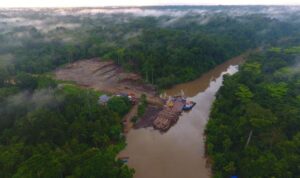 Pelabuhan Kayu PT Prabu Alaska di Kaimana Papua Barat. Foto: FWI