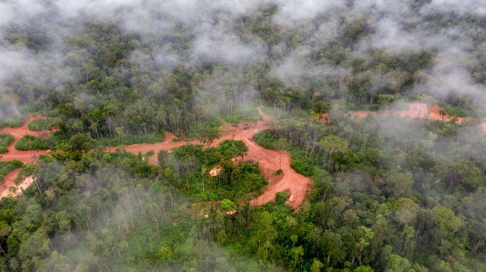 Kawasan hutan Boven Digoel, Papua. Foto: FWI