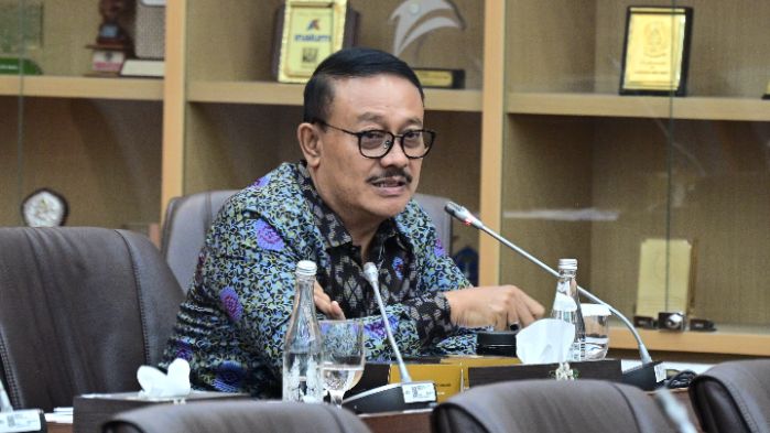 Anggota Komisi VI DPR RI Gde Sumarjaya Linggih . Foto: Parlementaria (Farhan)