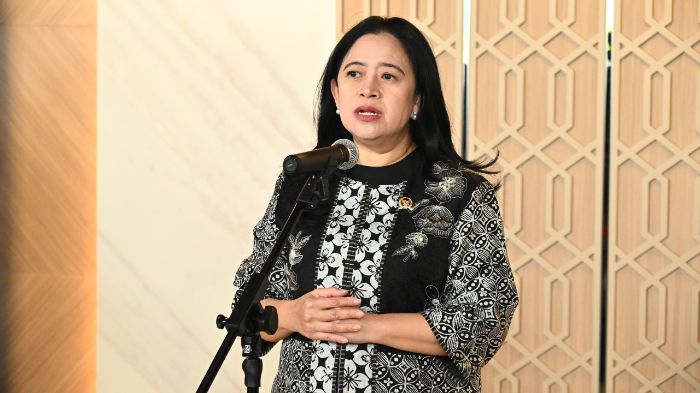 Ketua DPR RI, Puan Maharani. Foto: Dok. Parlementaria