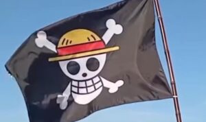 Bendera one piece.