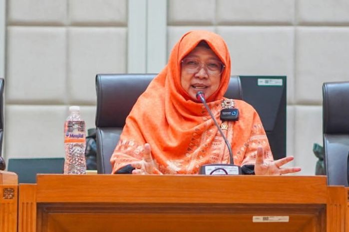 Anggota Komisi XI DPR RI Anis Byarwati. Foto: Tangkapan layar akun facebook @aniasbyarwati