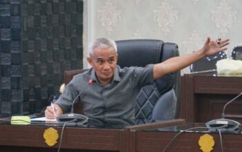 Ketua Pansus Pembentukan Perangkat Daerah, Alwi Podungge. Foto: Istimewa