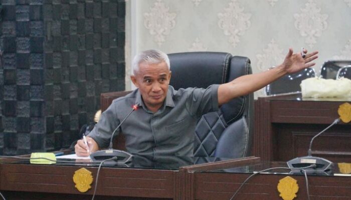 Alwi Podungge: Kemandirian Fiskal Butuh Badan Pendapatan Daerah