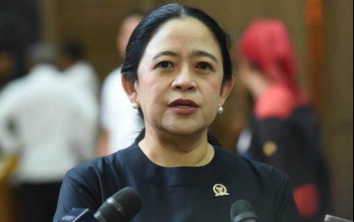 Ketua DPR RI, Puan Maharani. Foto: Dok. Parlementaria