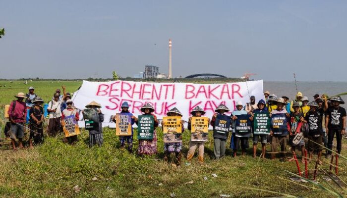 Warga Indramayu dan Sukabumi Tolak Proyek Biomassa: “Ancaman bagi Pangan dan Hutan”