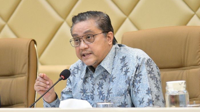 Wakil Ketua Komisi II DPR RI, Dede Yusuf Macan Effendi. Foto: Do. Parlementaria