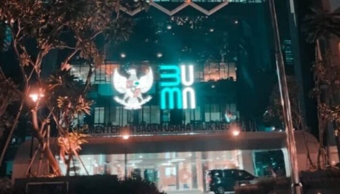 DPR Sahkan Revisi UU BUMN, Kementerian Berubah Jadi Badan Pengaturan