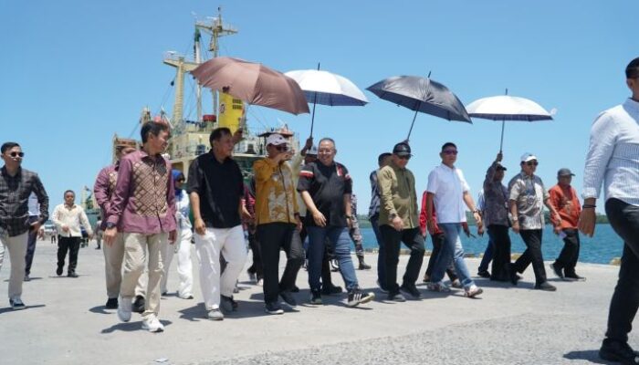 Fadel Muhammad Bawa Investor Asing, Thariq: Momentum Emas bagi Gorut