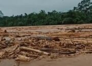 BNPB Belum Tetapkan Banjir Bandang Sumatera sebagai Bencana Nasional