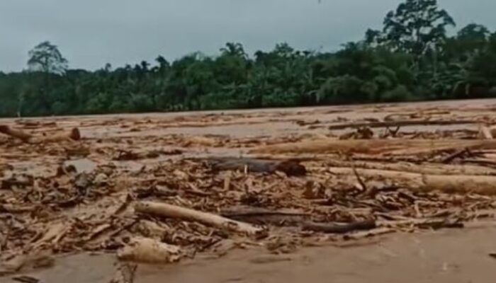 BNPB Belum Tetapkan Banjir Bandang Sumatera sebagai Bencana Nasional