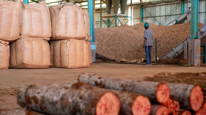 Produksi Wood Pellet. Foto: Dok. FWI