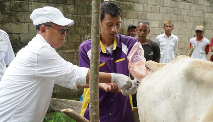 Lewat G210 Plus, Gorut Perkuat Pasokan Pangan Program Prabowo–Gibran