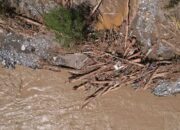 Banjir Aceh dan Jejak Deforestasi yang Kian Menganga