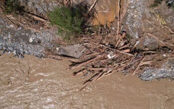 Gelondongan kayu tersapu banjir di Daerah Aliran Sungai Krueng Beutong, Kabupaten Nagan Raya, Provinsi Aceh pada 28 November 2025. Foto: Dok. Apel Green Aceh