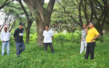 Bupati Thariq Tinjau Penataan Taman Ceria,