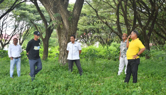 Bupati Thariq Tinjau Penataan Taman Ceria,