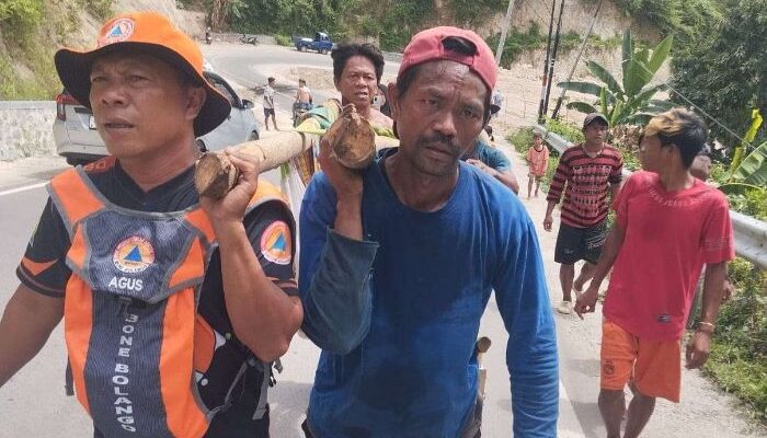 Seorang Petani Tewas Tertimpa Batu Longsor di Olele