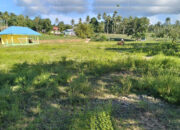 Telan Anggaran Ratusan Juta, BPD Molantadu Akui Lapangan Sepak Bola Belum Layak Digunakan