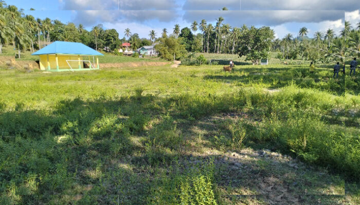 Telan Anggaran Ratusan Juta, BPD Molantadu Akui Lapangan Sepak Bola Belum Layak Digunakan