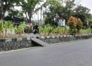 Jagung di Median Jalan Ganggu Keselamatan, DPRD Kota Gorontalo Minta Penertiban