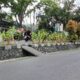 Tanaman jagung di median jalan, jalan dua susun (JDS) Kota Gorontalo. Foto: Simpulindo