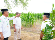 Gorut Siapkan Lahan Tiga Hektare untuk MIN, MTsN, dan MAN