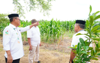 Gorut Siapkan Lahan Tiga Hektare untuk MIN, MTsN, dan MAN