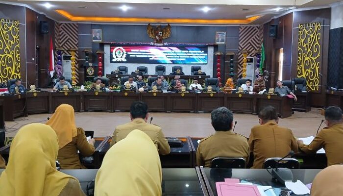 Perda Perangkat Daerah Direvisi Lagi, DPRD Minta Penataan Lebih Cermat
