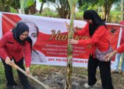 Ketua DPC PDI Perjuangan Kota Gorontalo, Yolan Polontalo saat menanam pisang. Foto: Istimewa