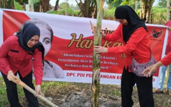 Ketua DPC PDI Perjuangan Kota Gorontalo, Yolan Polontalo saat menanam pisang. Foto: Istimewa