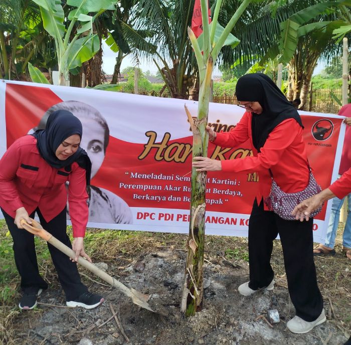 Ketua DPC PDI Perjuangan Kota Gorontalo, Yolan Polontalo saat menanam pisang. Foto: Istimewa