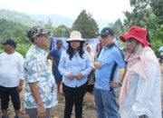 Tinjau Papualangi, DSP Rencana Investasi Kelapa, Durian, dan Air