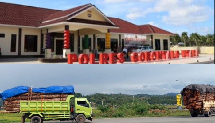 HPMIGU: Mosi Tidak Percaya Terhadap Polres Gorut, Truk Over Dimensi Terus Melintas Bebas