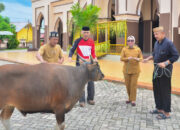 Sambut Iduladha, Wabup Nurjanah Serahkan Hewan Qurban