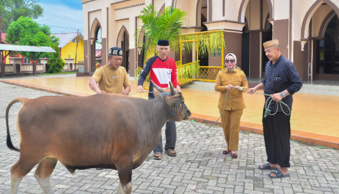 Sambut Iduladha, Wabup Nurjanah Serahkan Hewan Qurban