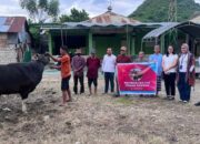 Sambut Idul Adha, Citimall Gorontalo Serahkan Hewan Kurban